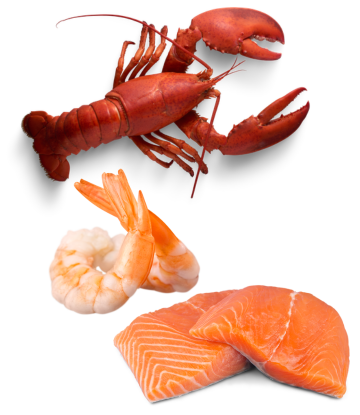 lobster, shrimp and salmon 